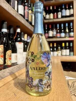 Игристое вино брют белое регион Венето "Вальдо Аквариус Блан де Блан Экстра Драй"